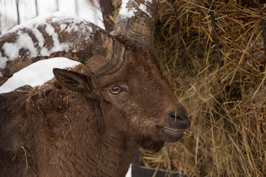 Similar image 7825282