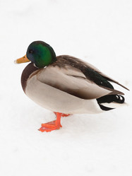 Similar image 7825284