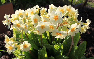 Similar image 7825309