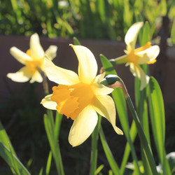 Similar image 7825310