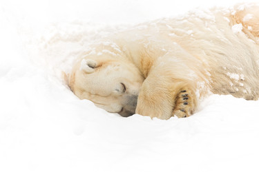 Similar image 7825330