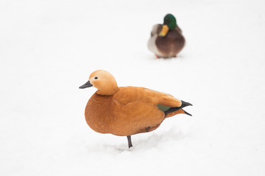 Similar image 7825336