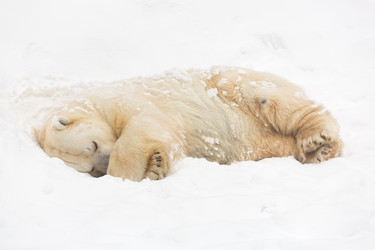 Similar image 7825338