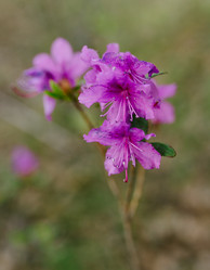 Similar image 7825460