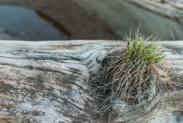 Similar image 7825466