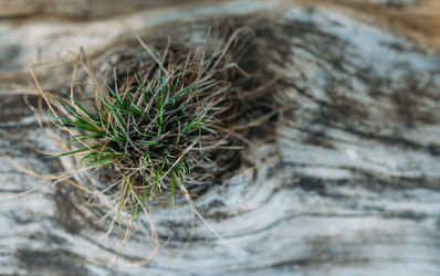 Similar image 7825467