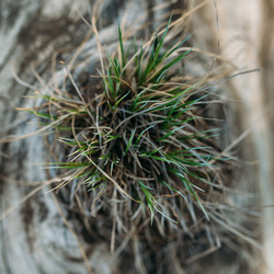 Similar image 7825468