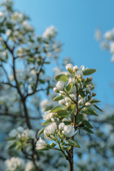 Similar image 7825473