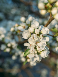 Similar image 7825474