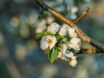 Similar image 7825475