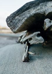 Similar image 7825479