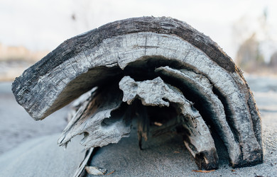 Similar image 7825480