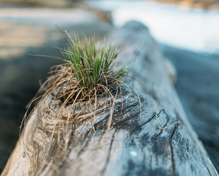 Similar image 7825491