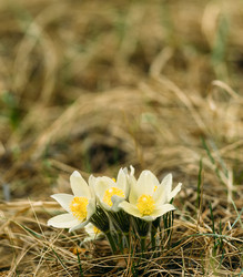 Similar image 7825493