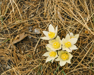 Similar image 7825494