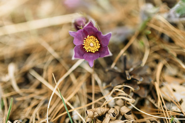 Similar image 7825495