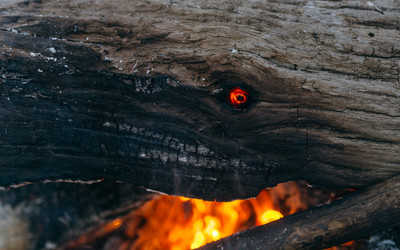 Similar image 7825527