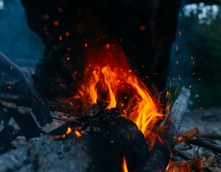 Similar image 7825530