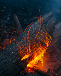 Similar image 7825533