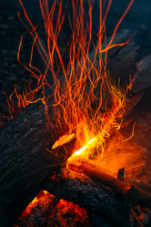 Similar image 7825534