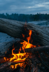 Similar image 7825539