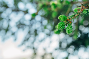 Similar image 7825547