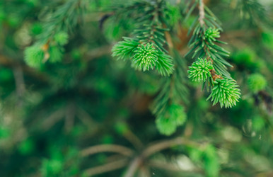 Similar image 7825548