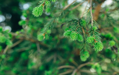 Similar image 7825549