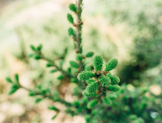 Similar image 7825550