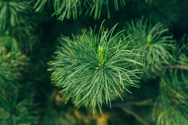 Similar image 7825551