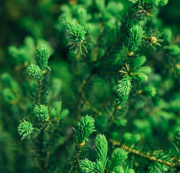 Similar image 7825552