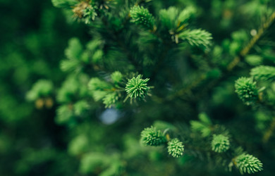 Similar image 7825553