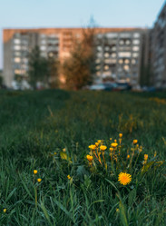 Similar image 7825555