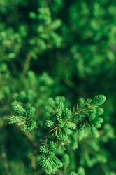 Similar image 7825556