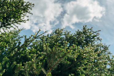 Similar image 7825557