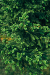 Similar image 7825559