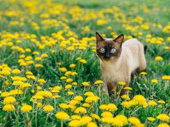 Similar image 7825560