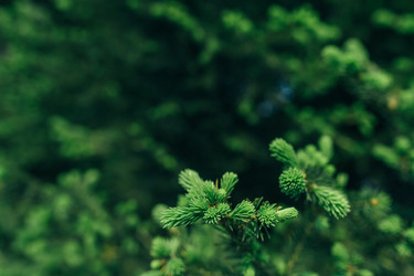 Similar image 7825572