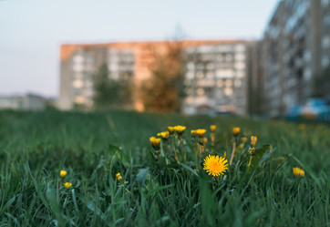 Similar image 7825573