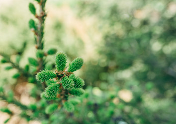 Similar image 7825574