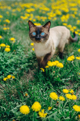 Similar image 7825576