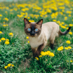 Similar image 7825577