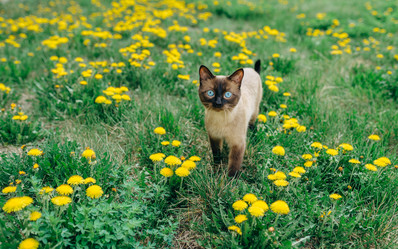 Similar image 7825578