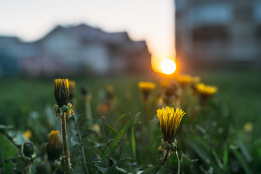 Similar image 7825580