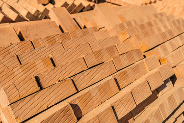 Similar image 7825584