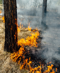 Similar image 7825587