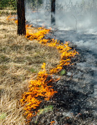 Similar image 7825588