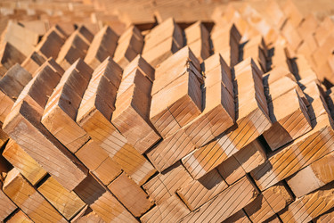 Similar image 7825589