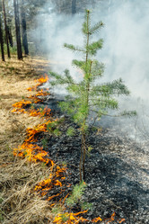 Similar image 7825599