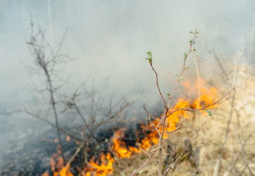 Similar image 7825600